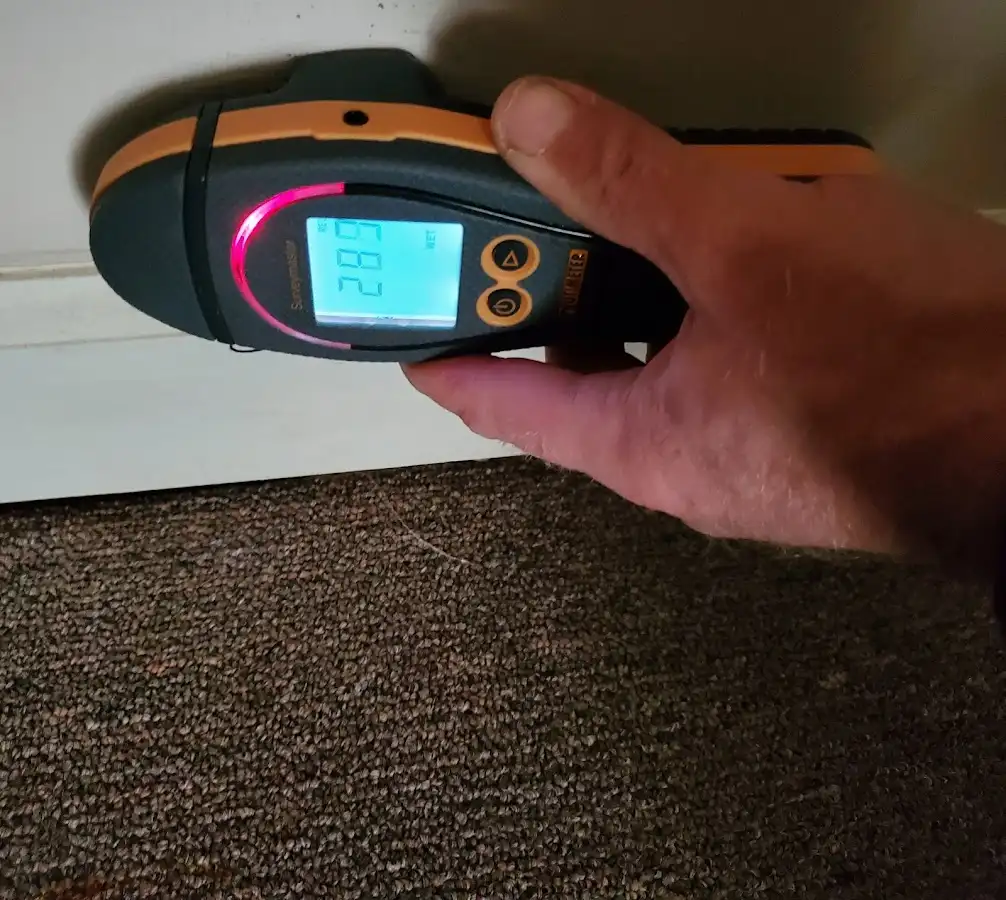 Moisture detection at baseboard during Mold Inspection & Testing in Watertown